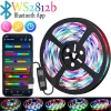 RGBIC WS2812B LED Лента 5V 3M